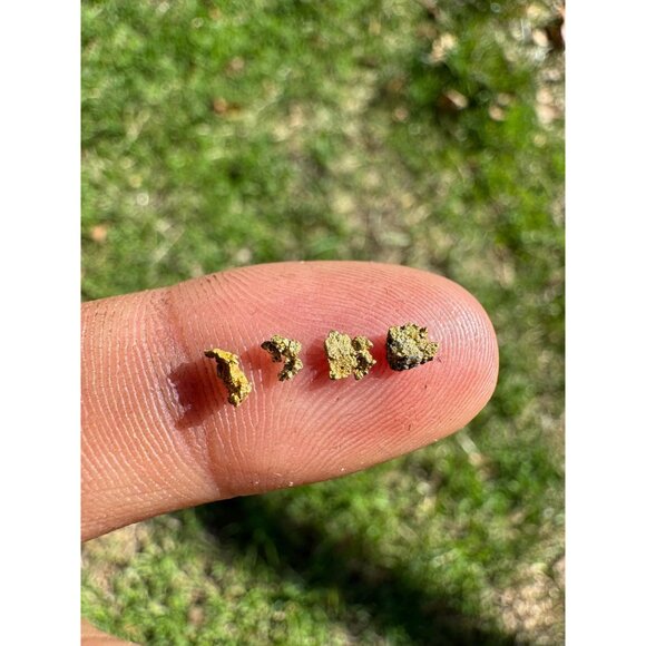 Small Arizona Gold Nuggets in Display Case - 0.15 grams - Picture 5 of 8